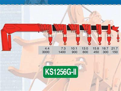 cau tu hanh 6 6 tan kanglim ks1256g ii 2 14452